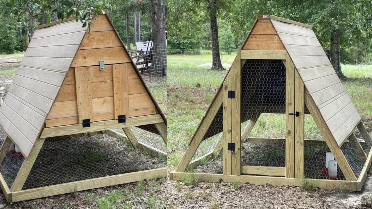20+ DIY Chicken Coops Ana White